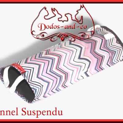 Tunnel suspendu