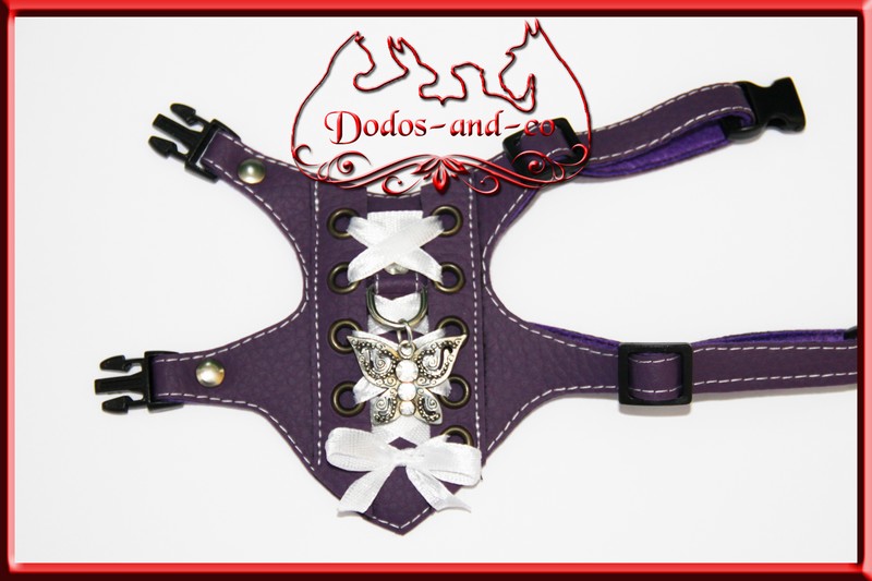 harnais cuir corset furette