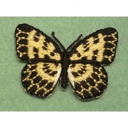 papillon 1