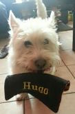 doudou brodé