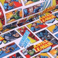 12 justice league
