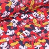 13 mickey