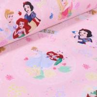 14 princesse disney