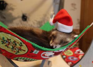Box de Noël 2016