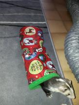 Box de Noël 2016