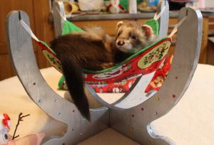 Box de Noël 2016