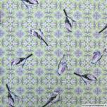 colibri
