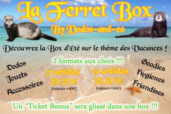 Box ete 2016 copie