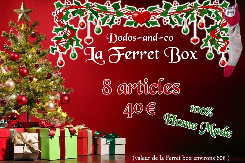 Ferret Box Noël 2017