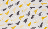 Chat curry grey