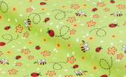 Coccinelle