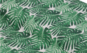 Feuillage tropicale