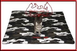 Tapis XXL pour gros chien