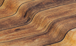 Plancher