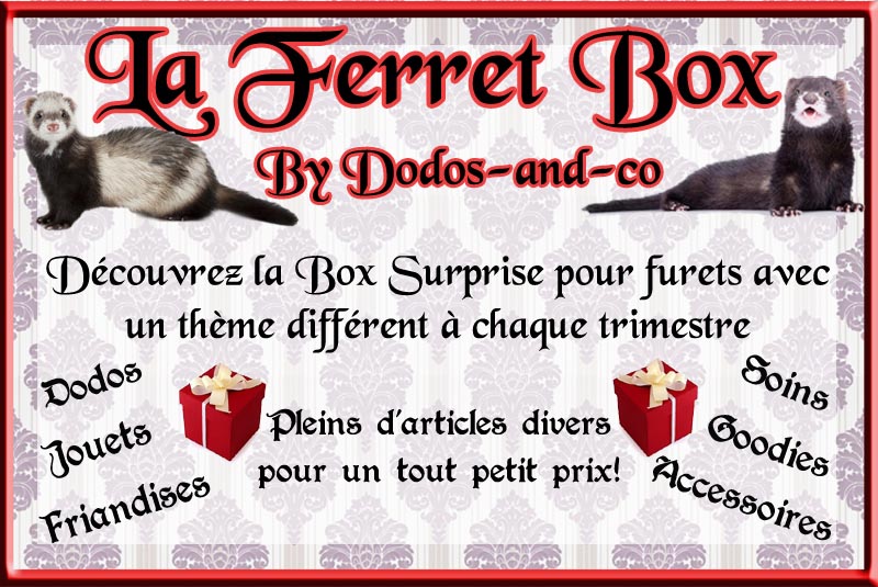Pub ferret box