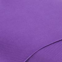 Violet 1